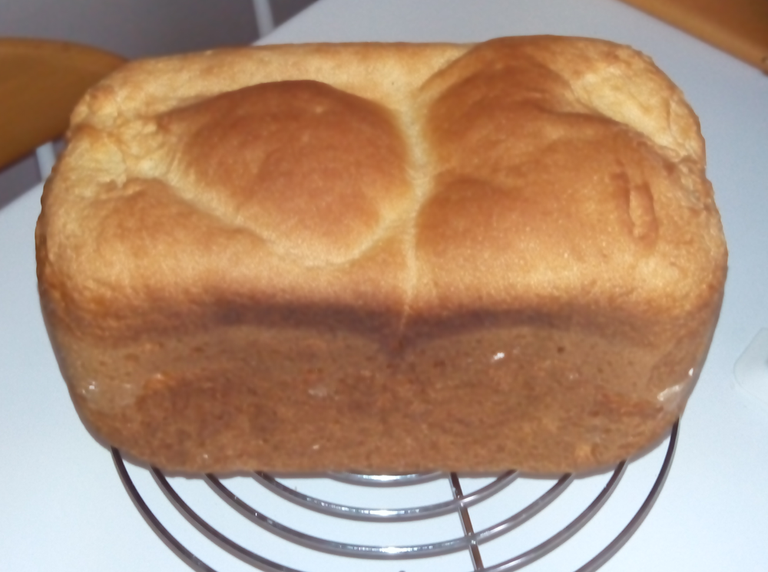 brioche