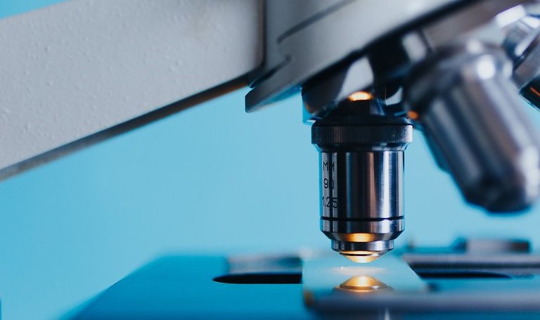 microscopio