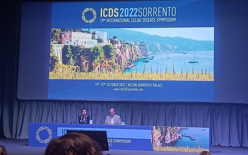 ICDS2022_Imagen.jpg