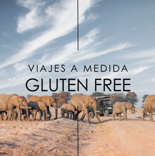 Viajes Gluten Free by Droom