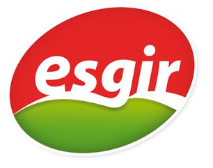 Esgir_logo